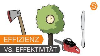 Effizienz vs. Effektivität – 3 Geheimnisse und ihre Bedingungen