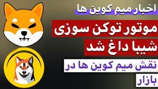 اخبار میم کوین ها : از توکن سوزی شیبا تا بررسی میم کوین ها