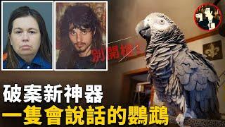 夫妻雙雙被害，案件陷入謎團，一場不可能的犯罪，卻被一隻鸚鵡輕鬆破解 Glenna  Mary Duram case