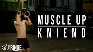 Ring Muscle Up kniend | Die wichtigste Vorübung | Die Ringe Bodyworkout