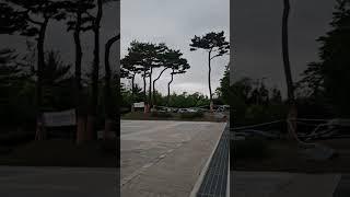 천안 불당동 번영로 천안종합운동장 입구