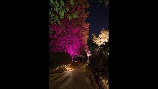 FX Luminaire Luxor ZDC Outdoor Lighting System