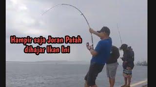 Mancing ikan Besar di pinggir laut