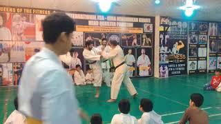 Awesome Karate Show Fight | Kyokushin | KenshinKan tournament | Fitness Hub