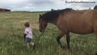 Reach Out to Horses: Children and Horses