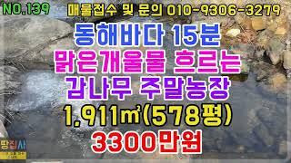 동해바다15분!맑은 개울물!감나무 주말농장!1,911㎡.578평 3300만원!