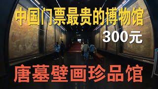 票价300，值得参观吗？实地探访陕西历史博物馆的唐代壁画珍品馆