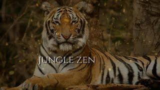 Richard Theisen | Jungle Zen | Mayan Stars | 432hz