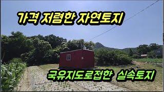 국유지도로에 접한 자연 실속토지 218평, 가격저렴한 강화토지, 주말농장, 전원주택지로 추천하는 강화도토지