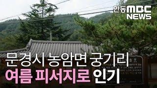 문경 궁기리 여름피서지 인기/ 안동MBC