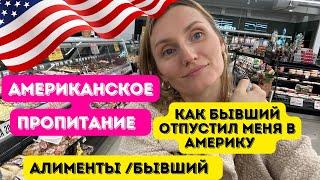 Как бывший отпустил в Америку /Мой печальный опыт #американскаяжизнь #семейныйканал #развод