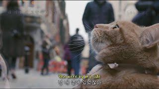 [내 어깨 위 고양이 밥] 사랑하는 반려동물이 곁을 떠날 때, Honne(혼네) - By my side [가사/해석/자막/lyrics] / A Street Cat Bob(2016)