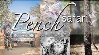 PENCH NATIONAL PARK | FIRST INDIAN TIGER SAFARI | PENCH | MADHYAPRADESH | INDIA | JAN 2018