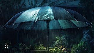 Rain Drops On Sunshade UmbrellaBlack Screen | 12 Hours | Sleep In Series