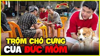 ĐỨC MÕM Bật Khóc Khi CHÓ PUKA Mất Tích - DUY BIN COMEBACK