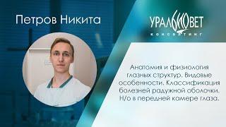 Анатомия, физиология глазных структур. Видовые особенности. Болезни радужной оболочки. Петров Никита