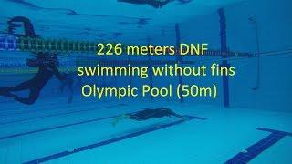 Freediving longest DNF ever in Olympic Pool Mateusz Malina 226 m