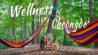 Wellness of Cheongdo