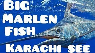 Karachi sea fishing AG bhatti vlog