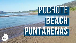 Pochote beach, Costa Rica - GOPlaya.cr