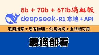 DeepSeek-R1本地+API最强部署，8b+70b+671b满血版！联网搜索+公网访问+思考推理+全终端可用！Ollama+OpenWebUI