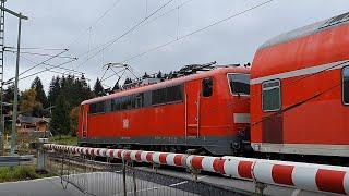 Class 111 "Kleeblatt" travels with Regional Express across a level crossing in Klais (Bavaria)