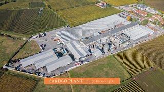 SAREGO PLANT | BURGO GROUP PRODUCTION CAPACITY