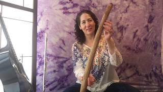 Music Class with Kira Rappaport #45: Rainforest