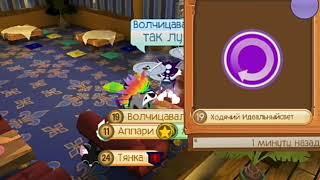 Что делают джамеры в 2 часа ночи? (Animal jam дикий мир!)