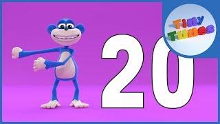 Count Down Song from 20 to 1 | The Monkey Floss | Tiny Tunes