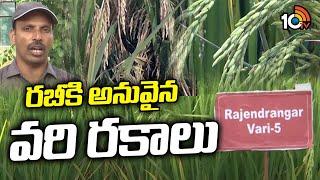 రబీకి అనువైన వరి రకాలు | Rice Cultivation In Rabi Season | Matti Manishi | 10TV News