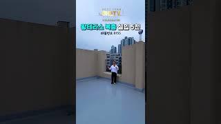 왕테라스 복층 실입 5천