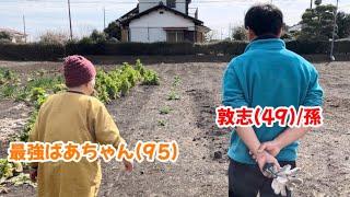 【検証】ばあちゃんのお汁がいつもの味とは違うとき、孫の敦志は気づくのか！？