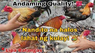 ANDAMING PAGPIPILIAN DITO! Bentahan ng Manok sa Lipa Batangas