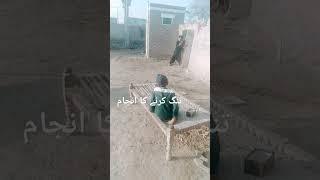 Maaz