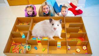 HAMSTER MAZE | Escape Challenge and Obstacle Course | Hamster Rosy