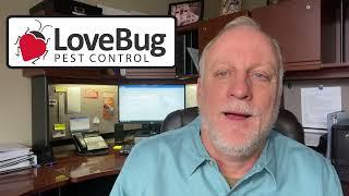 Initial Service & Follow Up Procedures at LoveBug Pest Control