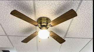 Litex Bentley Ceiling Fan 42” In Former Break Room (With Light/Globe)