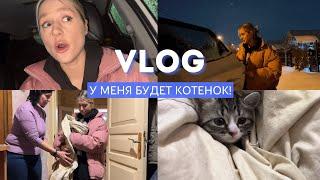 VLOG // У МЕНЯ БУДЕТ КОТЕНОК?!