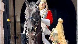 "Unleashing Royal Splendor: An Enthralling Encounter at Horse Guard in London"