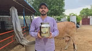 Kasutam A2 Cow Ghee 5 Liter Steel Can