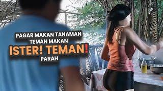 MAAP TEMANKU, AKU KILAP DAN SALAH | alur cerita film | movie recap