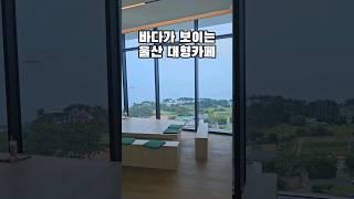 새로 오픈한 울산 대형카페 추천 #오션뷰카페