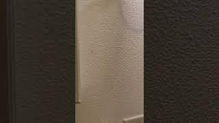 Ghost Turning Light On & Off REAL FOOTAGE
