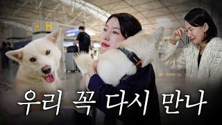 럭키가 농장을 떠나는 날