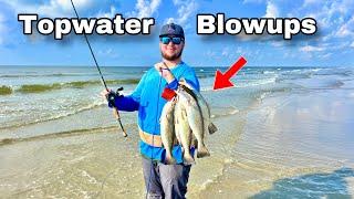 SURF FISHING for LIMITS of BIG SPECKLED TROUT on TOPWATER LURES!  (Catch & cook)