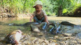 After the rain caused by Typhoon Yagi - giant carp washed away | Nông Thôn