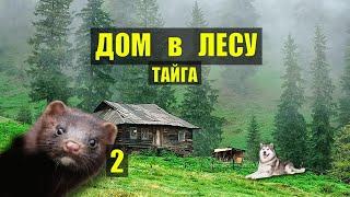 ОХОТА на КУНИЦУ ЗАБЛУДИЛСЯ ДЕД ЖИВЕТ в ТАЙГЕ ДОМ в ЛЕСУ КНИГИ ИСТОРИИ из ЖИЗНИ АУДИОКНИГА СЕРИАЛ 2