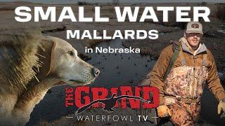 Small Water Mallards in Nebraska Part 2 | The Grind S13:E9