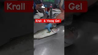 Yavaş Gel  #balıkmezatı #balık #mezat #fish #deniz #fishing #balıkavı #mavişehir #izmir #keşif #sea